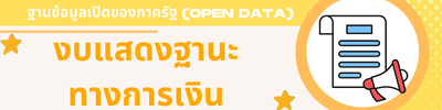 งบแสดงฐานะทางการเงิน